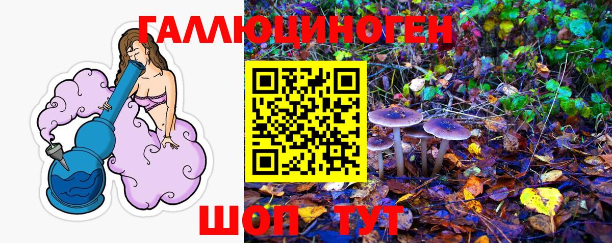 Псилоцибиновые грибы Psilocybine cubensis Иваново