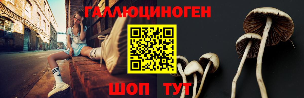 Псилоцибиновые грибы прущие грибы  Вход с VPN  Иваново 